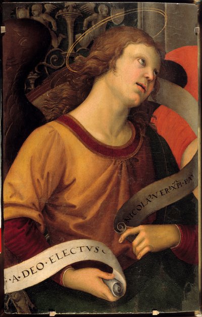 Egy angyal. Baronci oltárkép töredéke. Raffaello Sanzio dit Raphael (1483-1520) festménye alkotó: Raphael