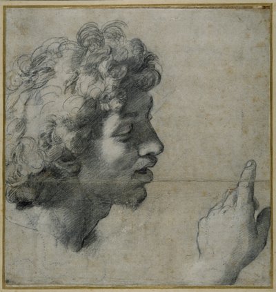 Fej és kéz tanulmányozása alkotó: Raphael
