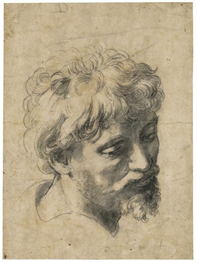 ""Egy fiatal apostol portréja"" (Fiatal apostol feje) Faszén papíron, Raphael (Raffaello Sanzio) (1483-1520) Magángyűjtemény alkotó: Raphael