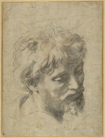 Tanulmány a „The Transfiguration” bal szélén lévő tanítvány számára (fekete kréta szürkés papíron) alkotó: Raphael