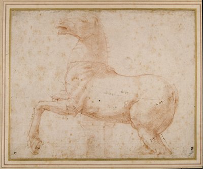 Egy ló tanulmányozása (toll, tinta és ceruza papíron) alkotó: Raphael