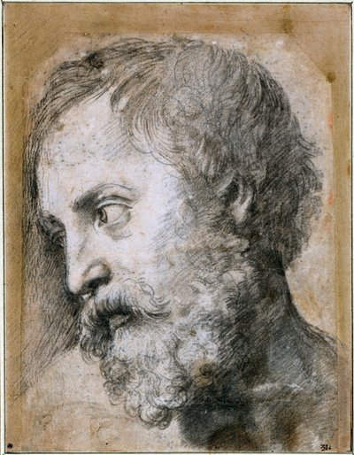 Az An Apostle Study for Transfiguration vezetője, 1519-1520 alkotó: Raffaello Sanzio Raphael