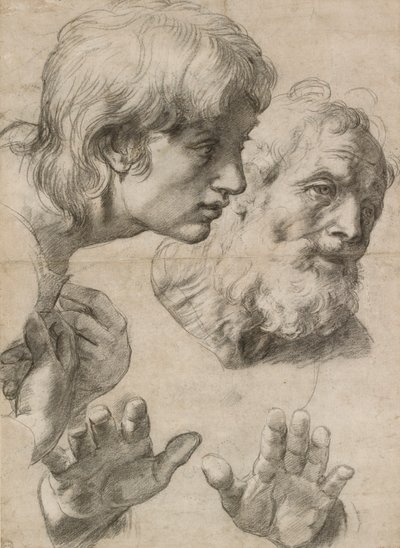 Tanulmányok két apostol fejéről és kezükről, 16. század alkotó: Raphael