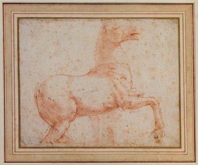 Az egyik Quirinal márványló tanulmányozása, 1515-17 alkotó: Raphael