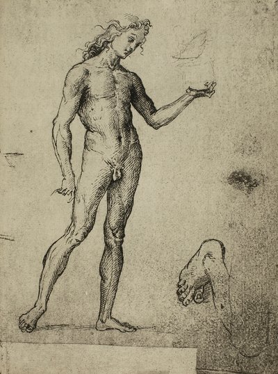 Férfi akt tanulmány; Raphael rajza. Gallerie dellAccademia, Velence alkotó: Raffaello Sanzio Raphael