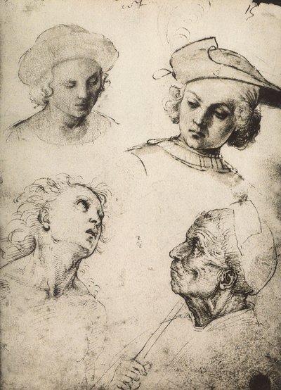 Négy férfiarc tanulmányozása; Raphael rajza. Gallerie dellAccademia, Velence alkotó: Raffaello Sanzio Raphael