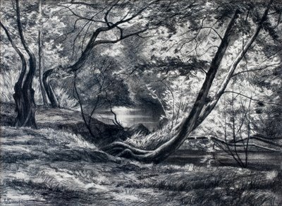 Aljnövényzet folyóval (szén) alkotó: Raymond Bonnefon