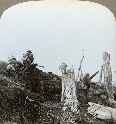 Assault in Trones Wood, Somme, Franciaország, I. világháború, 1916 alkotó: Realistic Travels Publishers