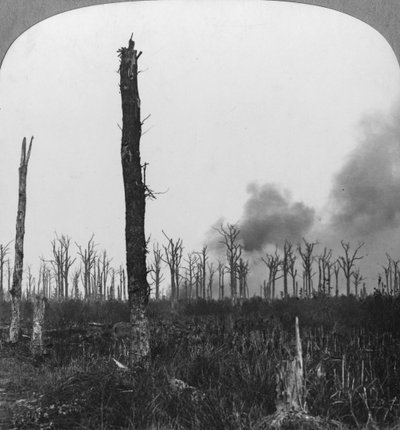 Erőteljes robbanásveszélyes lövedékek felrobbanva a franciaországi Mametz Woodban, az első világháború, 1916 alkotó: Realistic Travels Publishers