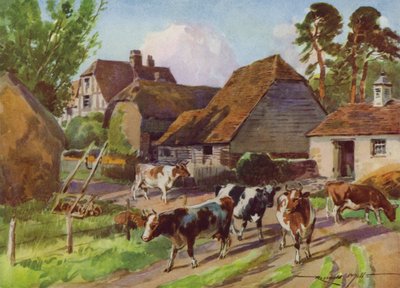 Illusztráció a My Farmhoz (színes litó) alkotó: Reginald Mills
