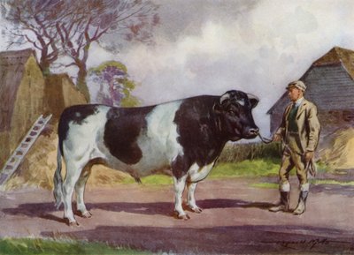 Illusztráció a My Farmhoz (színes litó) alkotó: Reginald Mills