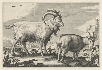 Dombos táj két kecskével Diversa Animalia Quadrupedia (sorozat címe) alkotó: Reinier van Persijn