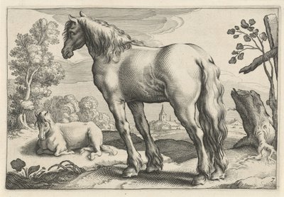 Táj két lóval Diversa Animalia Quadrupedia (sorozat címe) alkotó: Reinier van Persijn