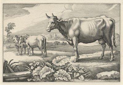 Legelő tehenekkel Diversa Animalia Quadrupedia (sorozat címe) alkotó: Reinier van Persijn