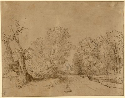 Egy erdős út alkotó: Rembrandt Harmensz. van Rijn