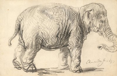Egy elefánt alkotó: Rembrandt van Rijn