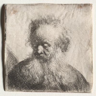 Öregember, göndör szakállal: Bust alkotó: Rembrandt Harmensz. van Rijn