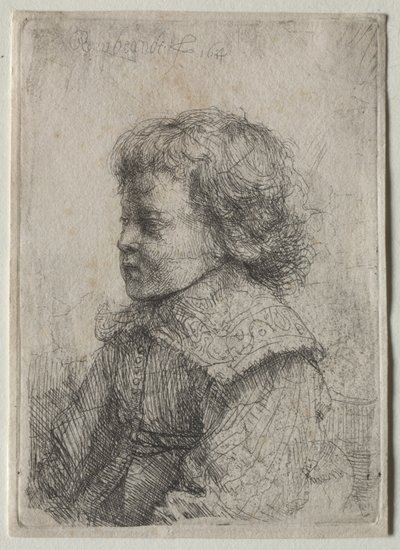 Egy fiú portréja profilban alkotó: Rembrandt Harmensz. van Rijn
