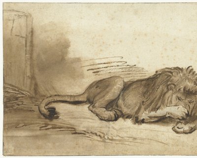 Fekvő oroszlán mellső mancsával a pofa fölött alkotó: Rembrandt van Rijn (school of)