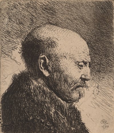 Egy kopasz férfi profilban A művész apja, 1630. alkotó: Rembrandt van Rijn