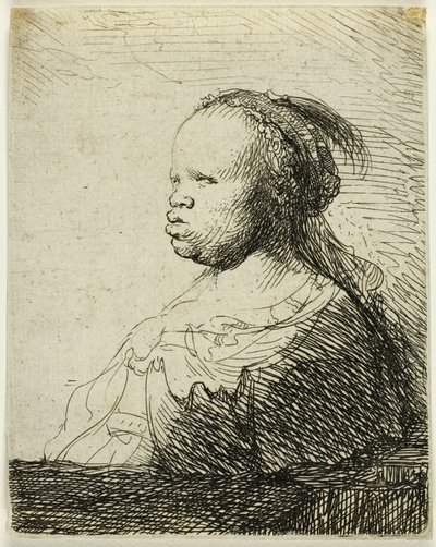 Egy afrikai nő alkotó: Rembrandt van Rijn