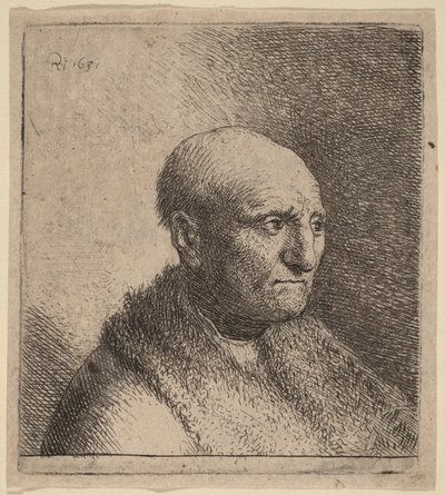 Egy kopasz férfi szőrme köpenyben alkotó: Rembrandt van Rijn