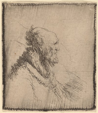 Kopasz öregember rövid szakállú profillal alkotó: Rembrandt van Rijn