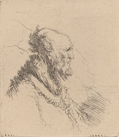 Kopasz öregember rövid szakállal profilban, c. 1635. alkotó: Rembrandt van Rijn