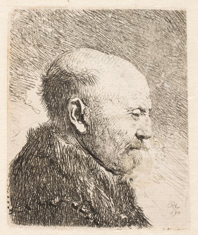 Kopasz férfi profilban (Rembrandt apja?) alkotó: Rembrandt van Rijn