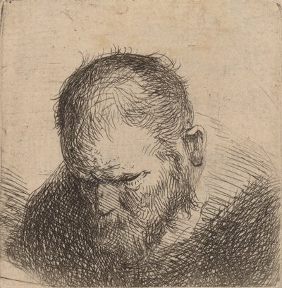 Szakállas ember lefelé nézve, valószínűleg 1631. alkotó: Rembrandt van Rijn