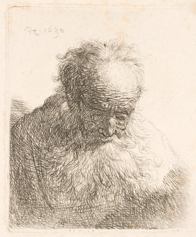 Egy hosszú szakállú idős férfi mellszobra: a feje előre hajlik; a bal váll nem árnyékolt alkotó: Rembrandt van Rijn