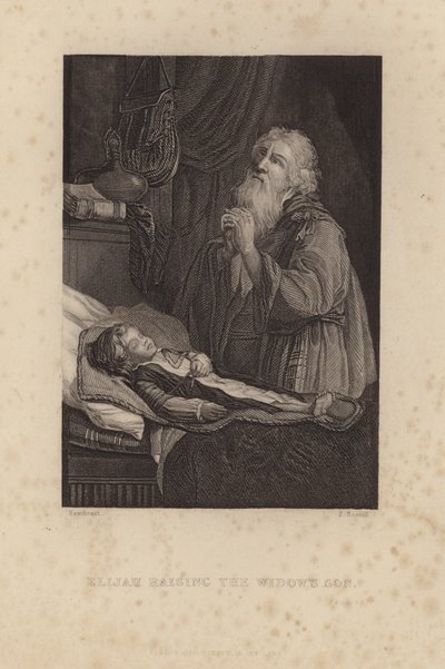 Illés felneveli az özvegy fiát alkotó: Rembrandt van Rijn