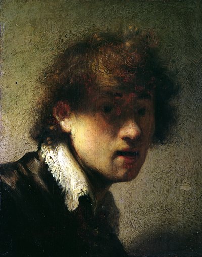 Fiatalember feje vagy önarckép, 1629 alkotó: Rembrandt van Rijn