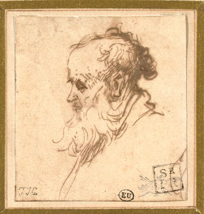 Egy szakállas férfi feje profilban balra alkotó: Rembrandt van Rijn