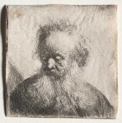 Folyó szakállú öreg: Mellszobor, 1631. alkotó: Rembrandt van Rijn
