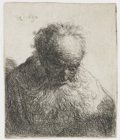 Folyó szakállú öregember, árnyéktalan bal válla Folyó szakállú idős férfi mellszobra: a fej előre hajtott: a bal váll árnyékolatlan alkotó: Rembrandt van Rijn