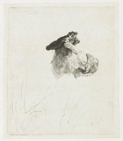 Egy idős férfi, aki kezével árnyékolja a szemét alkotó: Rembrandt van Rijn