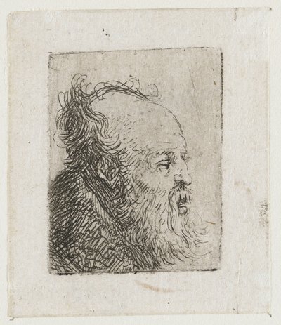 Idős, szakállas férfi, félig nyitott szájjal alkotó: Rembrandt van Rijn
