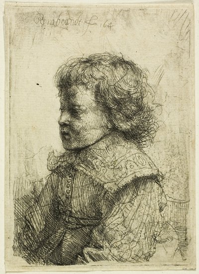Egy fiú portréja alkotó: Rembrandt van Rijn