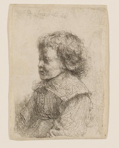 Egy fiú profilból készült portréja alkotó: Rembrandt van Rijn