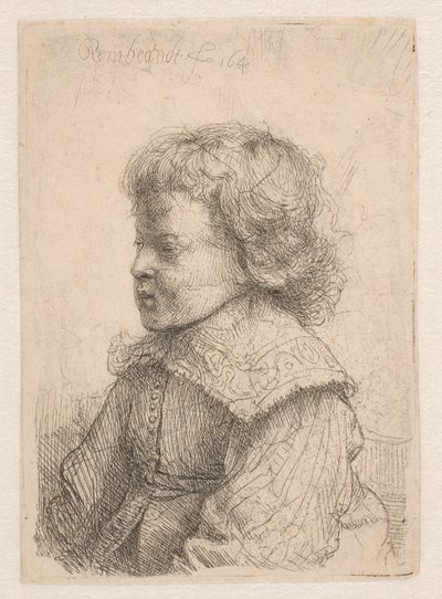 Egy fiú portréja, profilból alkotó: Rembrandt van Rijn