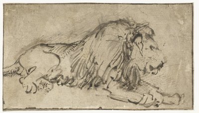 Fekvő oroszlán alkotó: Rembrandt van Rijn