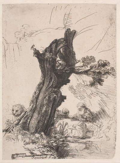 Szent Jeromos egy metszett fűzfa mellett alkotó: Rembrandt van Rijn