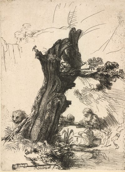 Szent Jeromos egy Pollard Willow mellett, 1648. alkotó: Rembrandt van Rijn