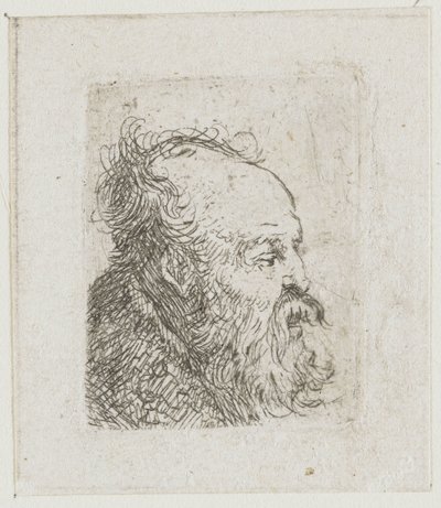 Férfi fejekről készült vázlatlap: idős, szakállas férfi, szinte jobbról profilból: félig nyitott szájjal alkotó: Rembrandt van Rijn