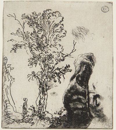 Két vázlatot tartalmazó lap: Egy fa, valamint egy bársonysapkát viselő önarckép felső része alkotó: Rembrandt van Rijn