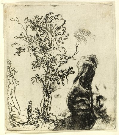 Lap két tanulmánnyal: egy fa és a bársonysapkát viselő művész fejének felső része alkotó: Rembrandt van Rijn