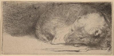Alvó kiskutya alkotó: Rembrandt van Rijn