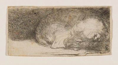 Alvó kölyökkutya alkotó: Rembrandt van Rijn