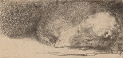 Alvó kiskutya, c. 1640. alkotó: Rembrandt van Rijn